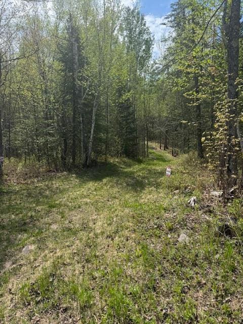 TBD Sunset Lake Dr, Saginaw, MN 55779 - photo 21