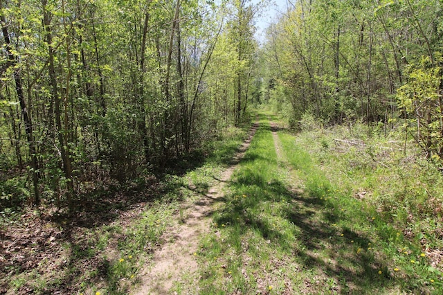 25343 Lens Rd, Ross Lake Twp, MN 56447
