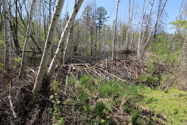 25343 Lens Rd, Ross Lake Twp, MN 56447