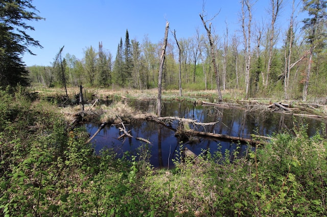 25343 Lens Rd, Ross Lake Twp, MN 56447