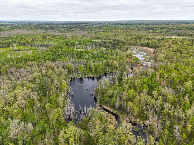 25343 Lens Rd, Ross Lake Twp, MN 56447