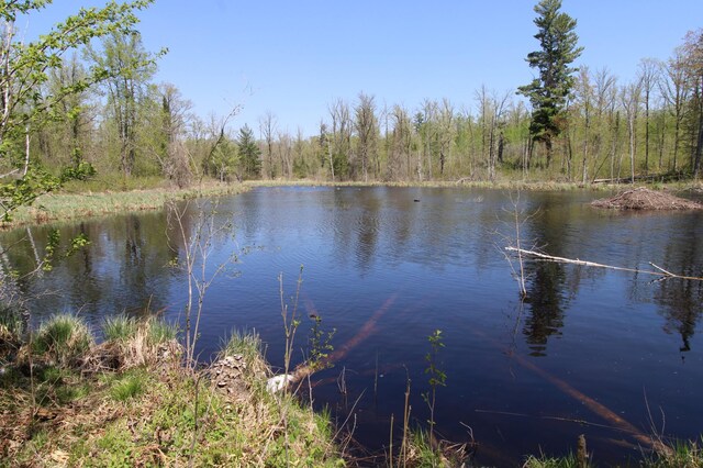 25343 Lens Rd, Ross Lake Twp, MN 56447