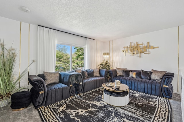 1905 125th Ave NE, Blaine, MN 55449 - living room with carpet floors and a textured ceiling