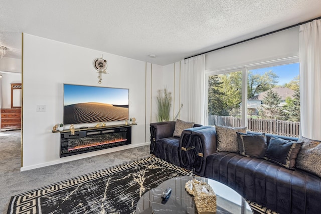 1905 125th Ave NE, Blaine, MN 55449 - living room with carpet floors, a textured ceiling, and a glass covered fireplace