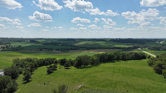 20376 County 19, Preston Twp, MN 55949 - photo 58