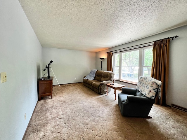 1416 13th Ave, Clarkfield, MN 56223 - living area with carpet floors and a textured ceiling