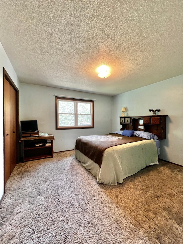 1416 13th Ave, Clarkfield, MN 56223 - bedroom with a textured ceiling and carpet