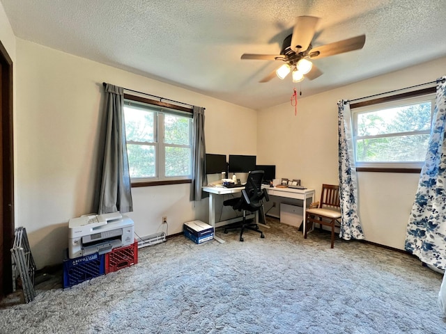 1416 13th Ave, Clarkfield, MN 56223 - office space with carpet, ceiling fan, and a textured ceiling