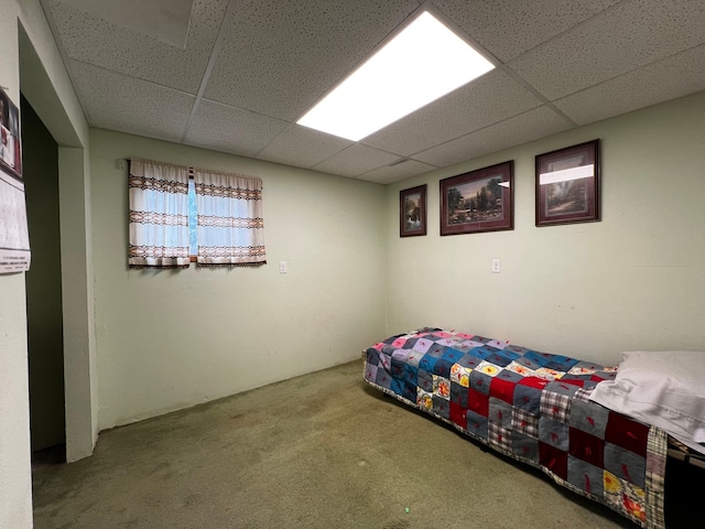 1416 13th Ave, Clarkfield, MN 56223 - carpeted bedroom with a drop ceiling
