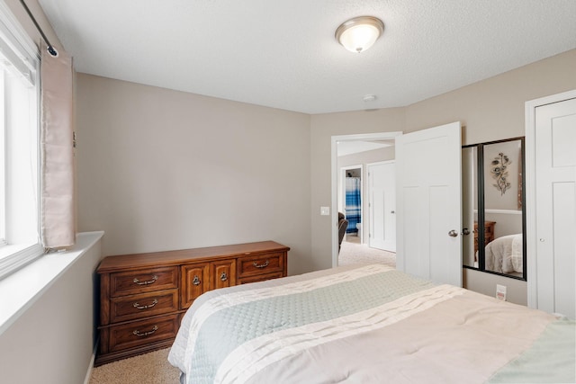 20938 Grommet Ave, Lakeville, MN 55044 - view of carpeted bedroom