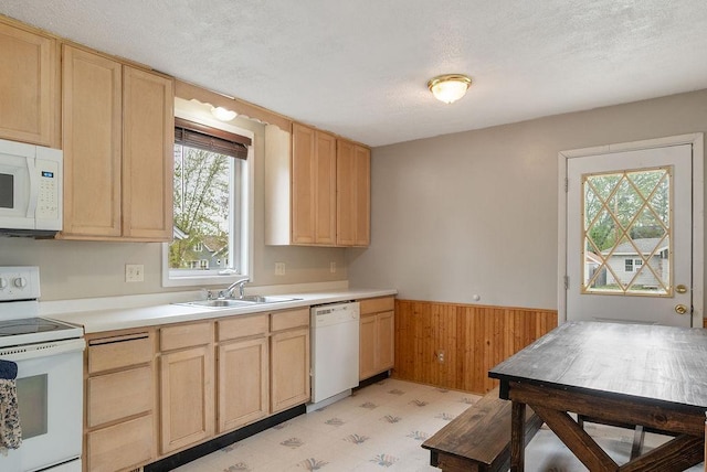 435 6th St, Cloquet, MN 55720 - kitchen featuring white appliances, a sink, light brown cabinets, a wainscoted wall, and wooden walls