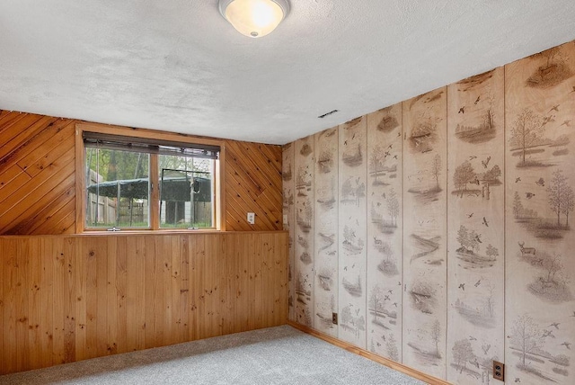 435 6th St, Cloquet, MN 55720 - empty room with wood walls and light colored carpet