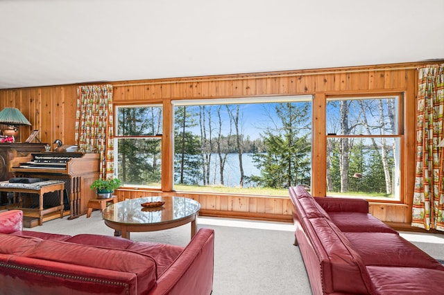 21895 County Road 8, Bovey, MN 55709 - living area with carpet flooring, wooden walls, and a water view