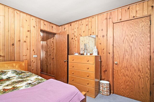 21895 County Road 8, Bovey, MN 55709 - carpeted bedroom with wood walls