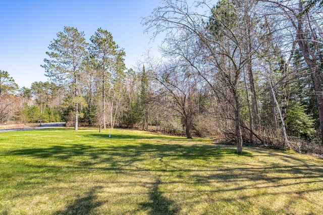 21895 County Road 8, Bovey, MN 55709 - view of green lawn