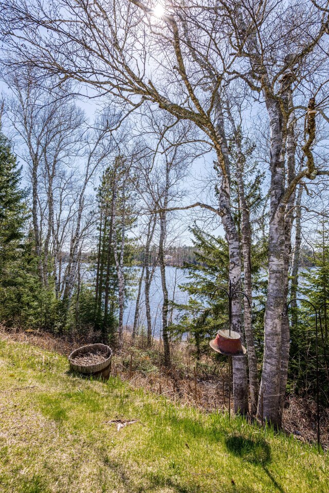 21895 County Road 8, Bovey, MN 55709 - water view