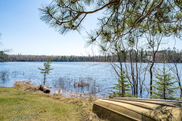 21895 County Road 8, Bovey, MN 55709 - water view