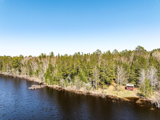 21895 County Road 8, Bovey, MN 55709 - water view with a forest