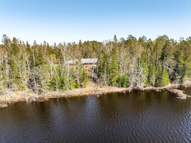 21895 County Road 8, Bovey, MN 55709 - water view featuring a heavily wooded area