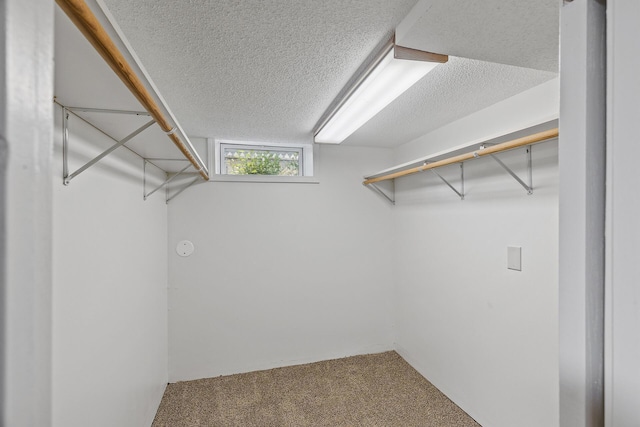 spacious closet featuring carpet flooring