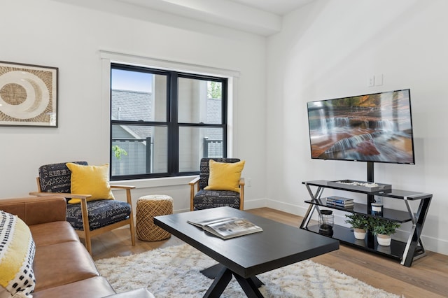 living area featuring wood finished floors and baseboards