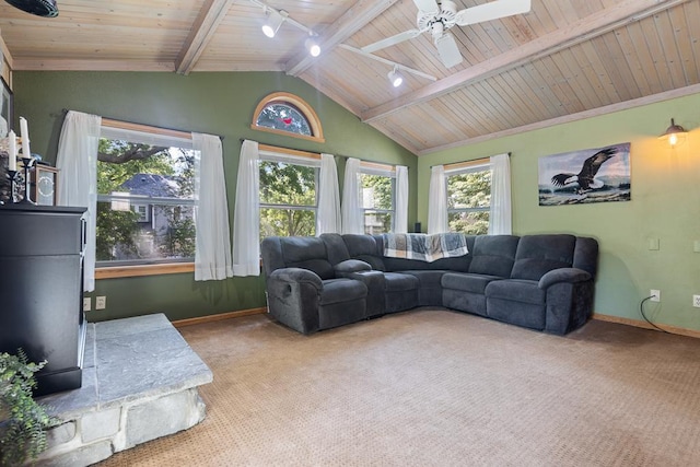 212 4, Montevideo, MN 56265 - living room with track lighting, carpet, wooden ceiling, baseboards, and healthy amount of natural light