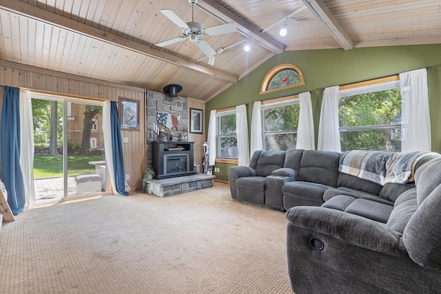 212 4, Montevideo, MN 56265 - living room with plenty of natural light, carpet, ceiling fan, rail lighting, and wood ceiling