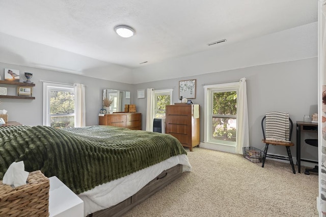 212 4, Montevideo, MN 56265 - bedroom featuring light carpet and multiple windows