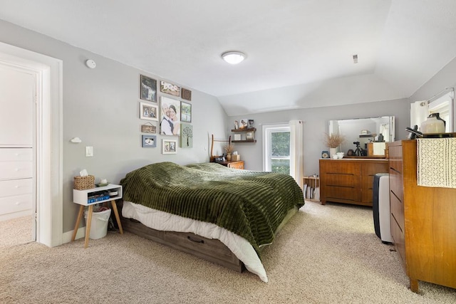 212 4, Montevideo, MN 56265 - bedroom with lofted ceiling and light colored carpet