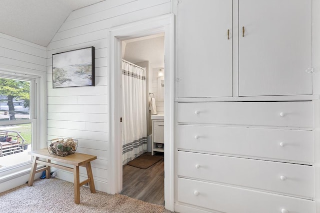 212 4, Montevideo, MN 56265 - spacious closet featuring vaulted ceiling and wood finished floors