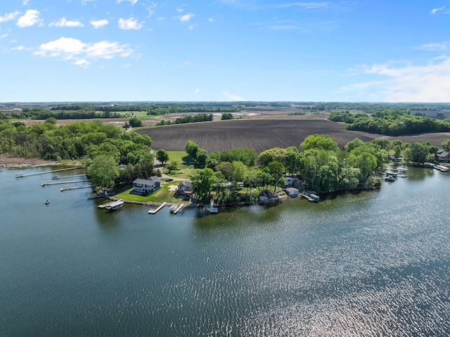 46710 Glens Beach Rd, Elysian Twp, MN 56096 - bird's eye view of a nearby body of water