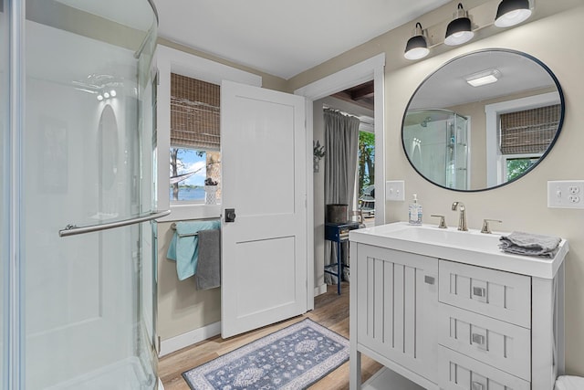 46710 Glens Beach Rd, Elysian Twp, MN 56096 - bathroom with a stall shower, wood finished floors, and plenty of natural light