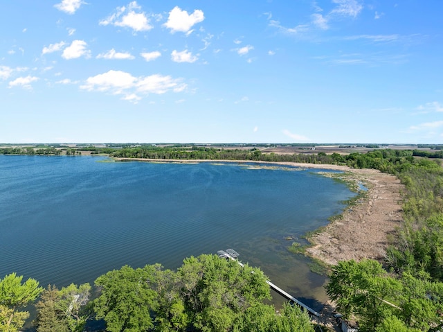 46710 Glens Beach Rd, Elysian Twp, MN 56096 - water view