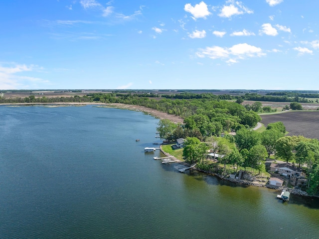 46710 Glens Beach Rd, Elysian Twp, MN 56096 - drone / aerial view of a large body of water