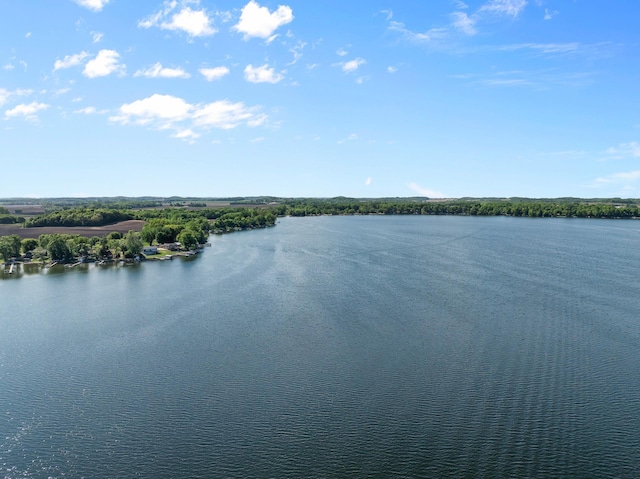 46710 Glens Beach Rd, Elysian Twp, MN 56096 - water view