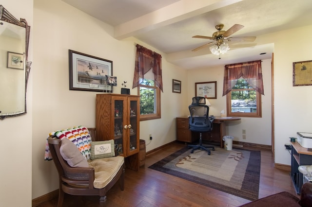 207 2nd Ave W, Balsam Lake, WI 54810 - office space with wood finished floors, baseboards, a ceiling fan, and beamed ceiling