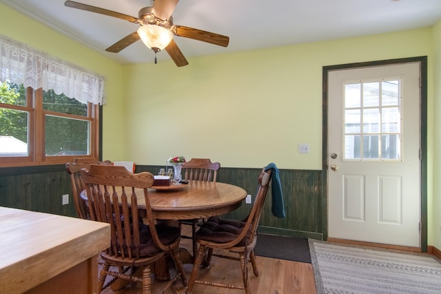 207 2nd Ave W, Balsam Lake, WI 54810 - dining space featuring wood finished floors, a wainscoted wall, and a ceiling fan