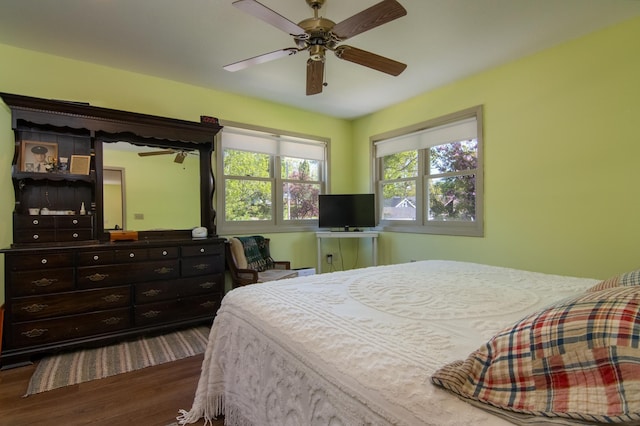 207 2nd Ave W, Balsam Lake, WI 54810 - bedroom featuring dark wood finished floors and a ceiling fan