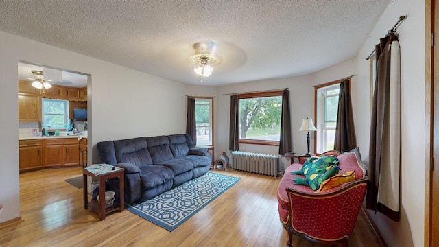 living room featuring radiator, ceiling fan, light wood-style floors, and a textured ceiling