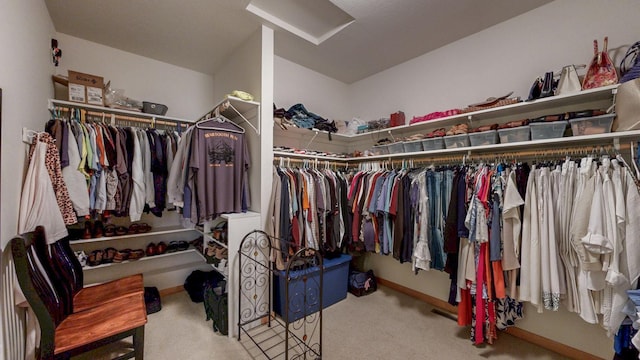2592 Aspen Pl SW, Rochester, MN 55902 - walk in closet featuring carpet flooring