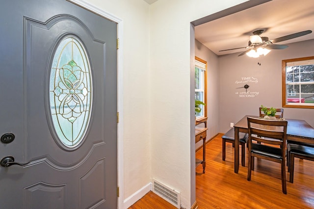 114 3rd Ave E, Truman, MN 56088 - entryway featuring plenty of natural light, ceiling fan, and wood finished floors