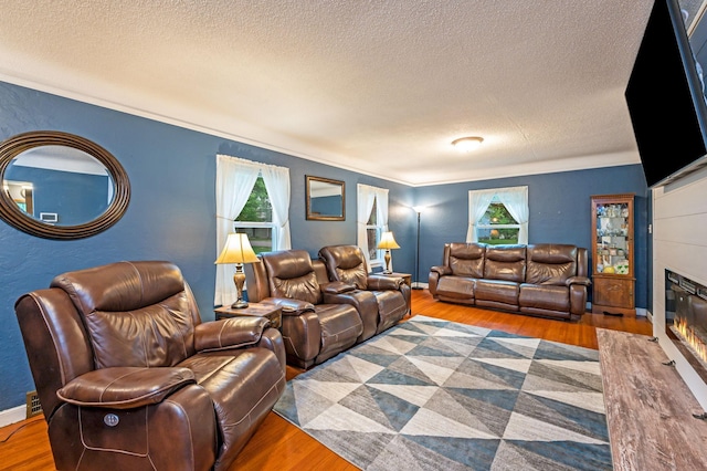 114 3rd Ave E, Truman, MN 56088 - living area featuring a textured ceiling, a glass covered fireplace, wood finished floors, crown molding, and a textured wall