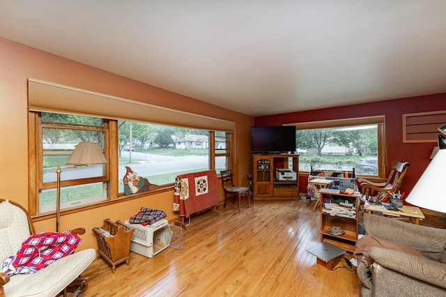 724 16th St NE, Rochester, MN 55906 - living area with light wood-style flooring