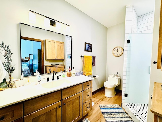 30710 County Road 45, Marcell Twp, MN 56628 - bathroom featuring wood finished floors, walk in shower, toilet, and vanity
