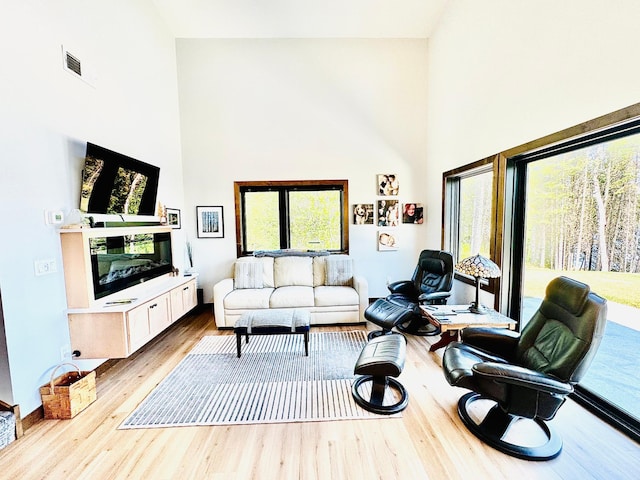 30710 County Road 45, Marcell Twp, MN 56628 - living area with high vaulted ceiling, wood finished floors, and baseboards