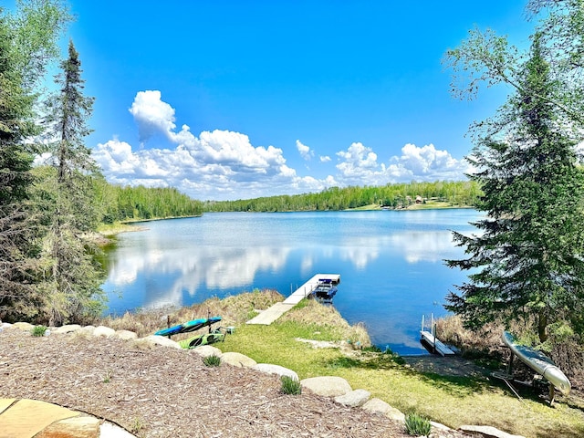 30710 County Road 45, Marcell Twp, MN 56628 - water view with a boat dock and a forest