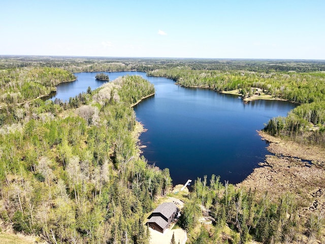 30710 County Road 45, Marcell Twp, MN 56628 - bird's eye view of a forest and a nearby body of water