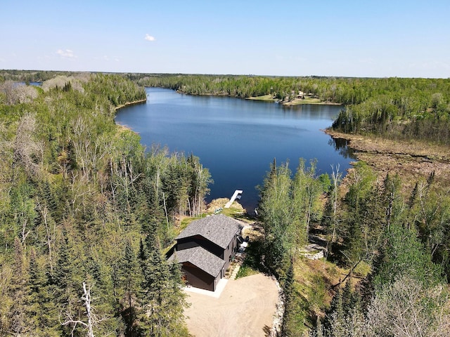 30710 County Road 45, Marcell Twp, MN 56628 - view from above of property with a heavily wooded area and a large body of water