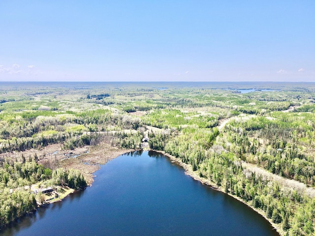 30710 County Road 45, Marcell Twp, MN 56628 - aerial view of property and surrounding area with a heavily wooded area and a large body of water