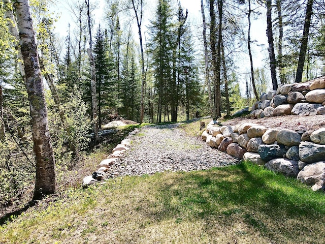 30710 County Road 45, Marcell Twp, MN 56628 - view of yard with a wooded view